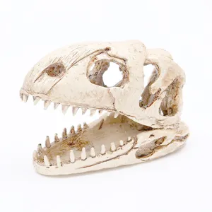 Harz Dinosaurier Schädel Aquarium Ornament Aquarium Fossil Versteck Höhle Unterschlupf Landschaftsbau Dekoration Für Fische