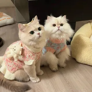 Dos gatos peludos llevan jerséis de punto en tonos pastel, uno con un pequeño oso y puños acanalados