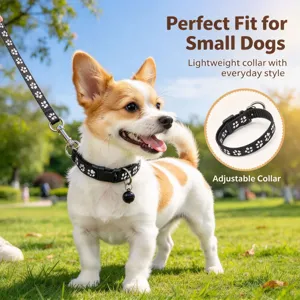 Small dog wearing a black paw-print collar outdoors, with an inset close-up of its adjustable fit