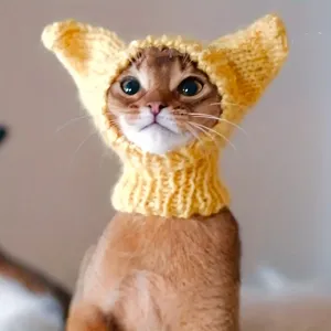 Bonnet jaune en maille avec tour de cou pour chat, porté avec de hautes oreilles pointues