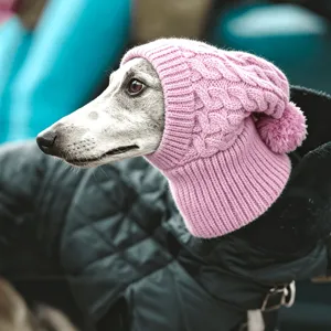 Huisdier Hond Gebreide Hoed Greyhound Snood Zachte Acryl Warme Winter Gehaakte Muts Met Pompon Nek Oorwarmer Hoofddeksel Voor Honden