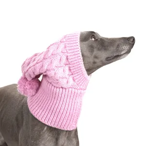 Zijaanzicht van een greyhound met een roze gebreide muts en pluizige pompon tegen een witte achtergrond