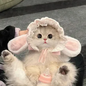 Pink plush and lace rabbit-ear pet bonnet with chin ties, shown on a fluffy cat posing
