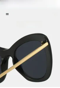 Close-up of black frame sunglasses showing metal hinge and gold temple details