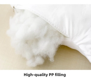 Detail view of high-quality PP cotton filling and zipper closure on the white cushion