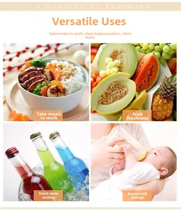 Versatile thermal bag for office meals, fresh fruit, cold drinks, and breast milk storage