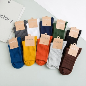 Set of 10 pairs of premium combed cotton socks in vibrant colors for men and women
