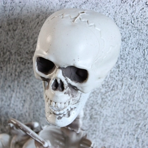 Close-up of a realistic Halloween skull model with aged texture and spinal vertebrae details