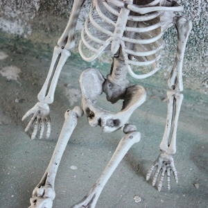 Life-sized realistic skeleton prop for Halloween decor with detailed resin bone texture