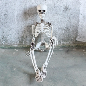 Detailed full-body skeletal figure with realistic joints for Halloween prop decoration