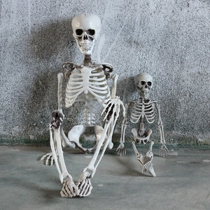 Realistic large and small plastic skeleton models for Halloween haunted house decor