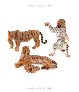 Set dettagliato di modelli di tigre realistici con texture e varie pose naturali
