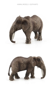 Vue détaillée de la texture réaliste de la peau et des plis du modèle d'éléphant