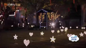 Outdoor LED decorative heart and star shape lights for lawn and garden landscape