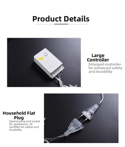 Detail of LED light string controller with 8 modes and transparent power plug connector
