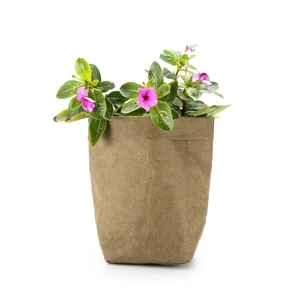 Washable brown kraft paper plant pot and storage bag with natural crinkle texture