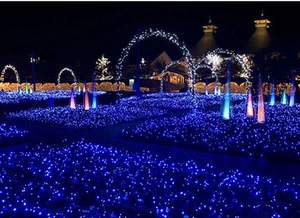 Close-up of blue LED fairy lights decorating outdoor arches and garden grounds