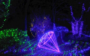 Detail of outdoor waterproof LED Christmas lights in diamond shape with purple holiday glow