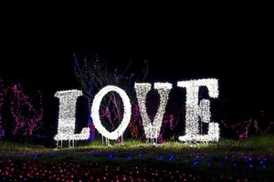 Outdoor LED LOVE letter lights on lawn with sparkling fairy light strings for wedding decor