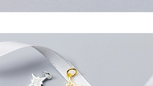 Vue macro de pendentifs étoile en argent S925 avec zircons sur soie blanche