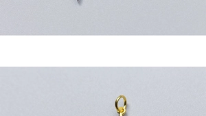 Vue macro du connecteur de pendentif étoile en argent S925 doré avec zircone