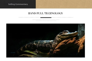 Detailed view of high-quality crocodile embossed leather texture with hand pull technology
