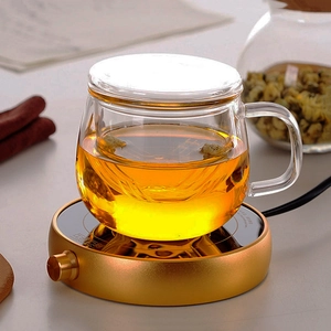 High Borosilicate Heat Resistant Glass Tea Cup With Removable Infuser And Lid Handle Office Home Drinkware Transparent