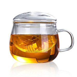 Heat-resistant borosilicate glass tea cup with lid and infuser on white background