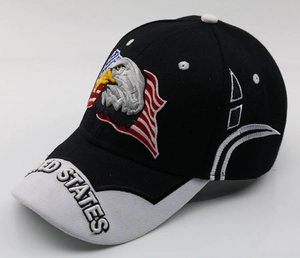 Detailed close-up of eagle embroidery and United States text on black baseball cap