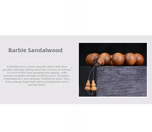 Close-up of Indonesian sandalwood prayer beads featuring round beads and gourd pendants