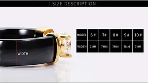 Size chart showing 6mm to 7mm width specifications for ceramic rings with zirconia inlay