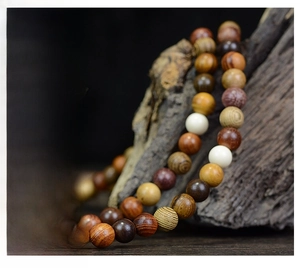 Detailed view of polished multi-wood Buddhist prayer beads on a rustic natural wood branch