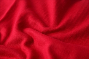 Macro shot of red cashmere feel scarf fabric showing soft texture and fine fringe details