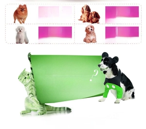 Detail of durable cotton rope toy for dogs highlighting training and dental health use