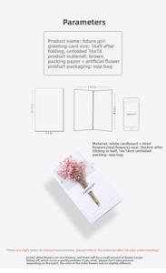 Detailed size specifications for pink dried flower greeting card with 16x9cm dimensions