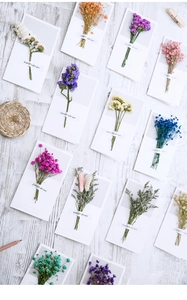 Detailed flat lay of assorted dried flower greeting cards on a rustic wooden background