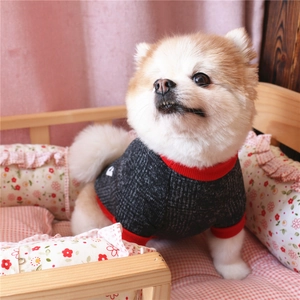 Detail of grey dog sweater with red ribbed collar on a cozy pet bed setup