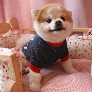 Detail of dog fleece hoodie in navy and red with ribbed cuffs on a pet bed