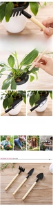 Mini gardening set detail featuring metal heads and wooden handles for succulents