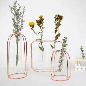 Jarrones de tubo de vidrio con marco de metal oro rosa para plantas hidropónicas