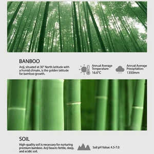 Bamboo fiber men's socks origin chart showing Anji forest and growth conditions