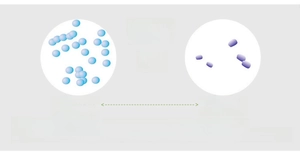 Comparison diagram showing antibacterial bamboo fiber versus regular fabric in socks