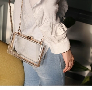 Transparent acrylic box clutch bag with gold chain strap worn as a stylish crossbody bag