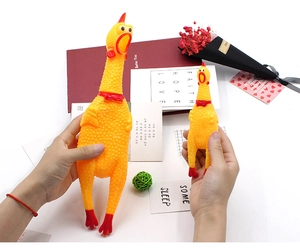 Two sizes of yellow rubber screaming chickens on a desk with books and dried flowers