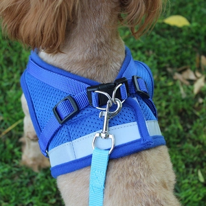 Reflective navy blue mesh dog harness for small medium dogs walking on green grass