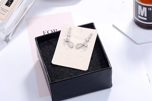 Detailed view of silver zircon stud earrings displayed on a premium black jewelry gift box