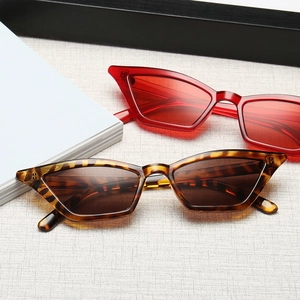 Retro small cat-eye sunglasses in transparent red and leopard tortoiseshell patterns