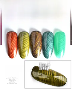Outil magnétique double tête pour vernis gel œil de chat motifs fleurs