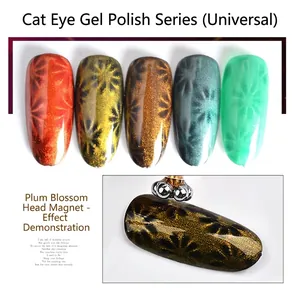 Outil de nail art magnétique à double tête avec affichage de l'effet gel œil de chat
