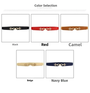 Detail of five elastic waist belts with vintage metal interlocking buckles in various colors